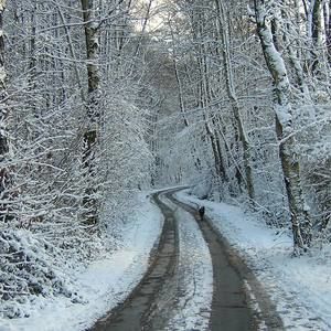 Meet your Posher, Jorge